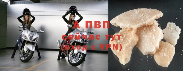 PSILOCYBIN Балабаново