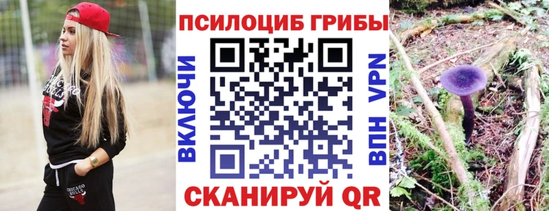 ОМГ ОМГ маркетплейс  Бирюсинск  Псилоцибиновые грибы Magic Shrooms 